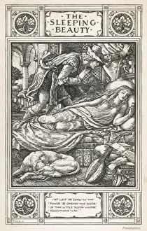 Schlafende Schönheit / (Krähe)