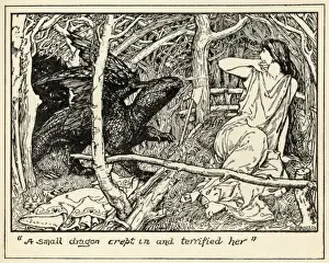 Ein kleiner Drache