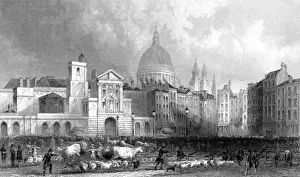 Smithfield Market History Drucke: SMITHFIELD
