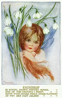 Early 20th Century Artwork Drucke: Snowdrop