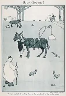 Bittere Trauben