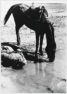 Eastern Front History Drucke: Soviet Cavalryman