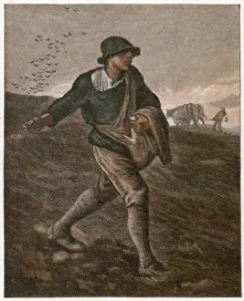 Impressionist Masterpieces Online Drucke: The Sower (Millet)