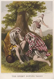 New Testament Artwork Drucke: The Sower of Tares