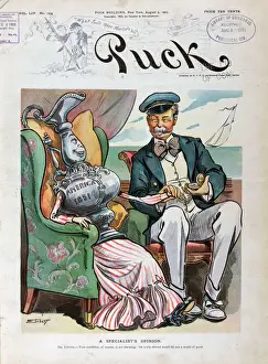 Puck Magazine Illustrations Drucke: A specialists opinion