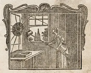 18th Century Prints Drucke: The Spider & Silkworm