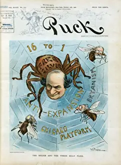 William Jennings Bryan Cartoon Drucke: The spider and the three silly flies