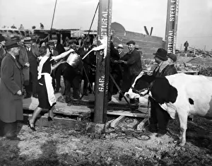 Food And Drink History Drucke: SPILT MILK