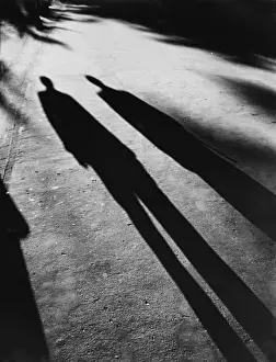 Schreckliche Schatten
