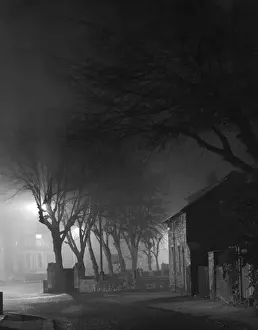 Natural Phenomena In Art Drucke: Spooky Trees
