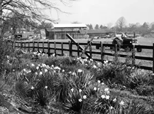 Farming Scene Drucke: Spring Farming Scene