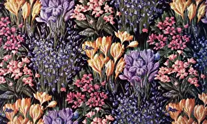 Colourful Spring Blooms Drucke: Spring flowers