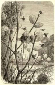 Frühling Drucke: Bienen im Frühjahr