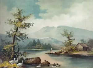 Spring auf der Insel Androscoggin