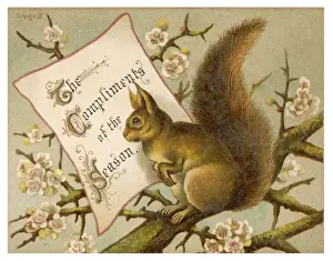 Eichhörnchen Neujahrskarte