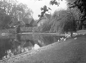 Central London Landmarks Drucke: St. Jamess Park