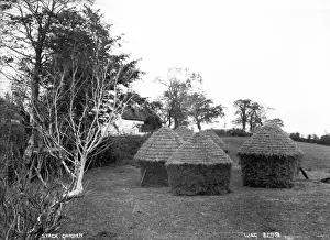 Early 1900s Rural Scene Drucke: Stack Garden