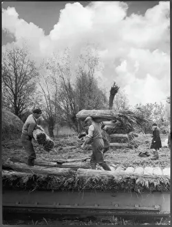Cambridgeshire Landscape Photography Drucke: Stacking Reed for Thatch