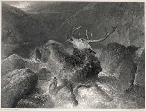 John Singer Sargent Painting Drucke: The Stag at Bay