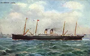 Steamship History Drucke: STEAMSHIPS / CELTIC