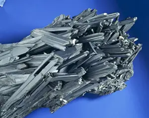 Natural History Museum Specimens Drucke: Stibnite