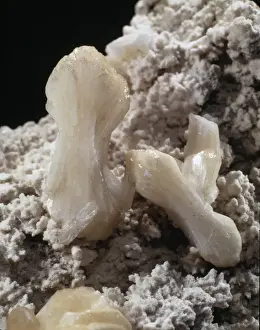 Natural History Museum Specimens Drucke: Stilbite