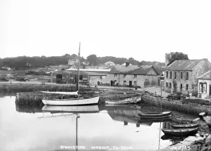 Early 1900s Photographs Drucke: Strangford, Co. Down