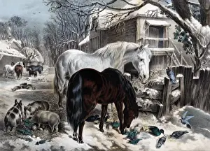 American Winter Landscapes Drucke: The Straw-Yard, Winter