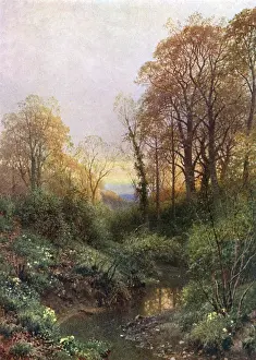 English River Landscapes Drucke: Stream at Leith Hill