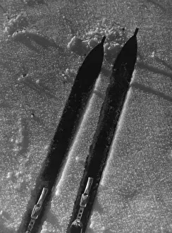Vintage Ski Photos Drucke: Study of Skis