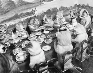Drucke von Kuscheltiere sitzen um einen kleinen Tisch herum und essen und trinken im Walter-Potter-Museum, Jamaika-Inn, London; leider verkauft und aufgelöst wurde es 2003. Datum: 1960er Jahre Jamaika Drucke: Gestümmelte Katzen Mittagessen