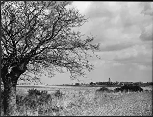 Suffolk Landscape Photography Drucke: Suffolk Scenery