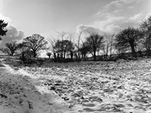Suffolk Schnee