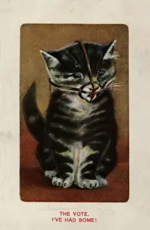 Frauengruppe für die Katze im Maul und das Wahlrecht