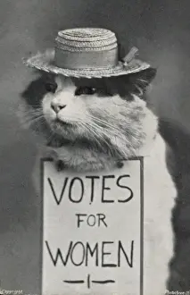 Suffragettenkatze in Strohhut Stimmt für die Frauen.