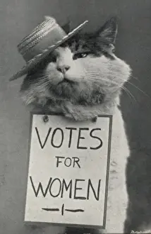 Suffragette Drucke: Frau Katze im Federschirm für Frauenwahlrecht