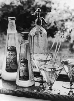 Vintage Glassware Drucke: Summer Fruit Drinks