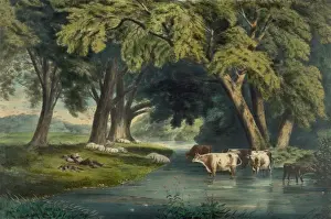 Summer River Scenery Drucke: Summer shades