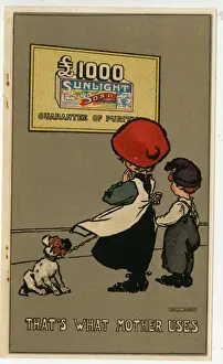 Sunlight Soap Advertisement Drucke: Sunlight Soap advertising insert