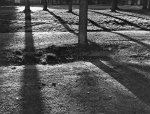 Gerahmter Druck : Sonnenschein und Schatten