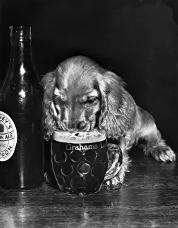Susi trinkt Bier