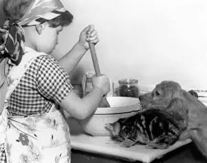 Drucke von Susi mit Mädchen, Schüssel und Katze aus den 50er Jahren Küche Drucke: Susi - mit Mädchen, Schüssel und Katze