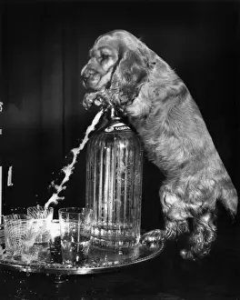 Susi spritzt mit der Soda-Siphon aus