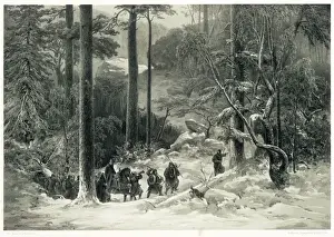 Birkenbeiner Sverres