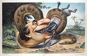 Puck Magazine Art Drucke: Swallowed