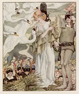 Die Sechs Schwäne von Anderson
