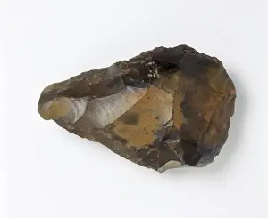 Drucke von Einer von vielen Handfeilern die bei der Siedlung des Homo neanderthalensis in Swanscombe im County Kent gefunden wurden und etwa zwischen 500.000 bis zu 300.000 Jahren alt sind Neanderthalensis Drucke: Eine Schwanzkombsche Schlagkeilaxe