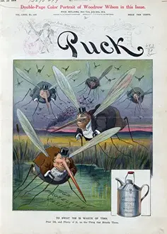 Puck Magazine Illustrations Online Drucke: To swat em is waste of time