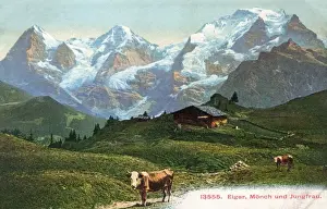 Drucke von Die Gipfel des Eigers, Mönchs und Jungfrau, Schweiz Datum: um 1908 Schweiz Drucke: Schweizer Landschaften - Eiger, Mönch und Jungfrau