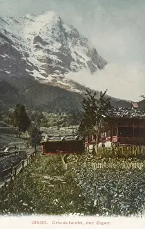 Eiger Mountain Switzerland Drucke: Switzerland - The Eiger viewed from Grindelwald